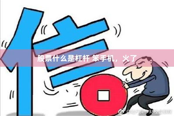 股票什么是杠杆 笨手机，火了