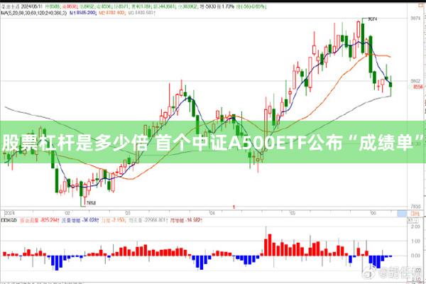 股票杠杆是多少倍 首个中证A500ETF公布“成绩单”