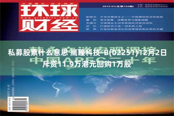 私募股票什么意思 鹰瞳科技-B(02251)12月2日斥资11.9万港元回购1万股